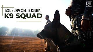 India’s elite K9 squad | How the CRPF trains its combat dogs