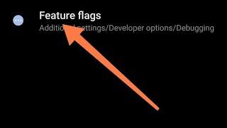 redmi note 10T me feature flags set kaise kare, how to check feature flags devloper optionredmi note