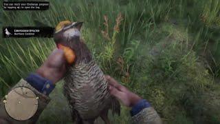 Red Dead Redemption 2 Bird Hunting And Skinning!