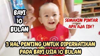 PERKEMBANGAN BAYI 10 BULAN