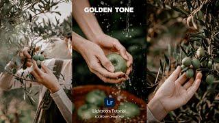 Lightroom Preset DNG Free Download | Golden Tone | Lightroom Tutorial | dhimithri