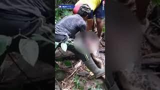 Horrifying moment locals find missing woman in belly of large python