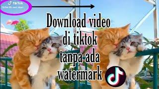 Cara Download Video Tiktok Tanpa Ada Watermark - Tanpa Aplikasi | by Rini ftrn