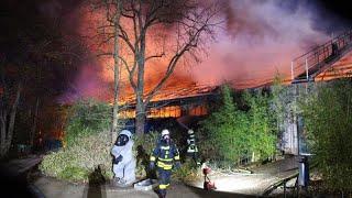 Brand in Zoo Krefeld durch Himmelslaterne? Trauer um getötete Affen