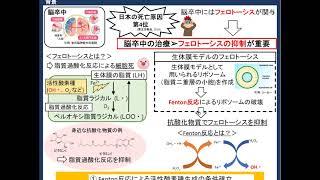 【キャリア学習：物理化学研究室】抗酸化物質によるフェロトーシス抑制