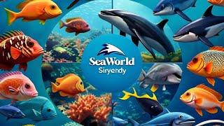 Part 1/Sea world aquarium fishes Australia Sydney) Suman's magic