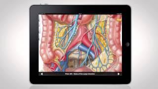 Netter's Anatomy Atlas for iPad®