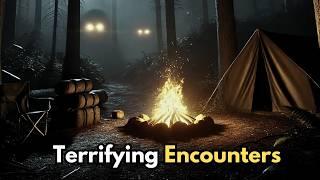 8 Most Terrifying Camping Encounters Caught On Camera