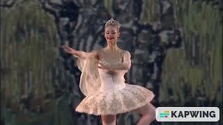 Russian Dance from "Swan Lake", Anastasia Kolegova (Reversed)