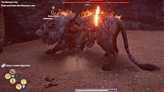 Assassin's Creed Odyssey - All Legendary Animal Boss Fights & Legendary Armor of Artemis