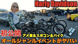 【ハーレー】衝撃!? 激ヤバのイベントに行ってきました Harley Davidson