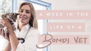 Week in the life of a Bondi Vet - Dr Kate Adams - Feb 2018