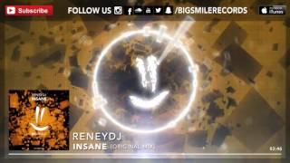 ReNeyDJ - Insane [BIGSMILE]