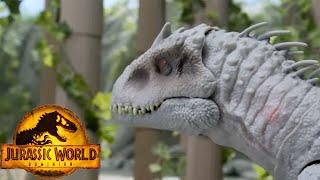 Darius Escapes from Hungry Dinos  | Jurassic World | Mattel Action!