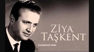 Ziya Taşkent - BİR GÜN SEVDİĞİMİ ANLAYACAKSIN