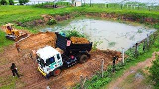 Ep2. Update project! process delete the pond by Bulldozer D31 with dump trucks unloading dirt