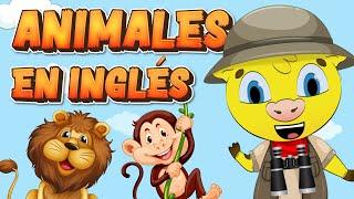 Inglés para Niños  | Animales en inglés  | Aprender Inglés