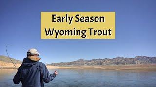 Early Season Wyoming Trout