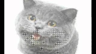 Cool Dot turns into Image of Cat