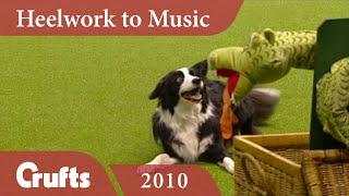 Heelwork to Music - Freestyle International Competition 2010 | Crufts Dog Show