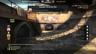 Weird/Hilarious Frenchie Game CS:GO