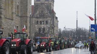 Фермеры Венгрии и Польши протестуют против ввоза украинской продукции