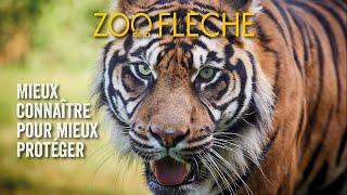 Zoo de La Flèche | Une faune exceptionnellement préservée