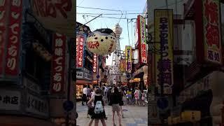 Have you been to Osaka?