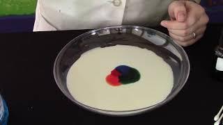 Rainbow Milk - Science Girl's Home Lab (SGHL)
