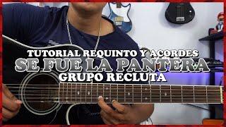 Tutorial | Se fue la pantera | Grupo Recluta | Requinto | Acordes | TABS