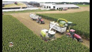 Congress Lake Farms 2021 Corn Silage Harvest