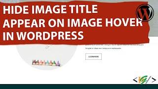 How to Hide the Image Title Text On Hover Globally Using Custom CSS in WordPress | Tooltip