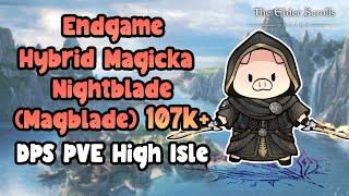 ESO Endgame Hybrid Magicka Nightblade (Magblade) 107k+ PVE DPS High Isle DLC