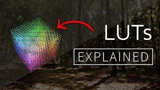 LUTs Explained! 1D vs 3D LUT?