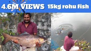 15 kg big rohu fish landing technique | Fishing Hook | Fish Hunting | Hook Stars