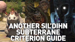 Another Sil'dihn Subterreane Criterion GUIDE (Normal/Savage)