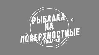 РЫБАЛКА НА ПОВЕРХНОСТНЫЕ ПРИМАНКИ, ПОППЕР, ХОРВАТСКОЕ ЯЙЦО, ЛОВЛЯ ЩУКИ.