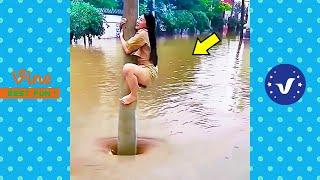 BAD DAY Better Watch This  Best Funny & Fails Of The Year 2023 Part 38