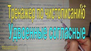 Удвоенные согласные