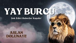 Yay Burcu | Beklenmedik Haberler ve Ani Kararlar! Hayatının Yönü Değişiyor!