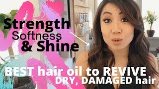 Products that REVIVE Dry and Damaged hair - nvenn's replenish - BEST Hair Oil for Dry Damaged Hair 