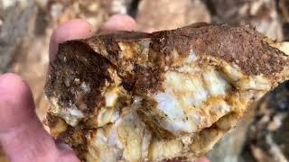 Quartz vein what to take home for gold recovery and testing