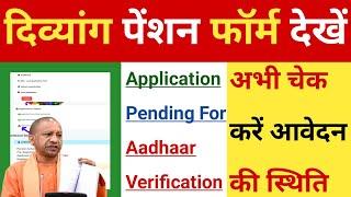 UP Divyang Pension Application Pending For Aadhaar Verification | आधार सत्यापन को लेकर बाद अपडेट |