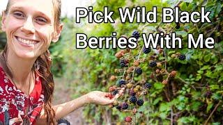 Let's Pick WILD BLACKBERRIES and Talk 🫐 #blackberries #berrypicking #smallfamilyfarm