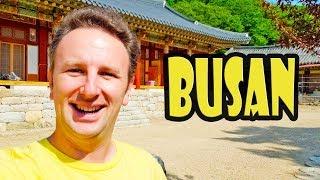 Busan Gamcheon Culture Village & Temple Stay in Busan - Korea Trip Day 3