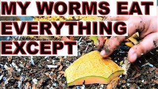 I Feed My Worms Everything- Except 1 Thing -Never Again- ENC Worm Bin