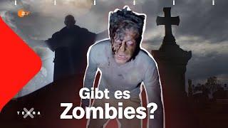 Vampire, Zombies und Geister - die wahre Geschichte | Terra X