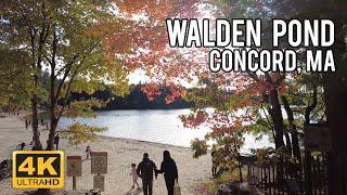 Walden Pond, Massachusetts - Walking Tour