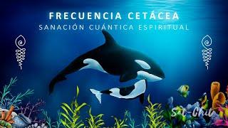 FRECUENCIA CETÁCEA • SANACIÓN CUÁNTICA ESPIRITUAL  Canto de BALLENAS y DELFINES 741 Hz