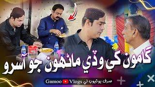 Gamoo Khe Wade Manhon Jo Aasro | Asif Pahore (GAMOO) | Gamo Vlogs | Comedy Funny Video